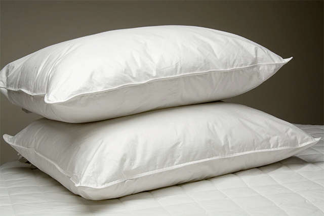 Hemp Pillows